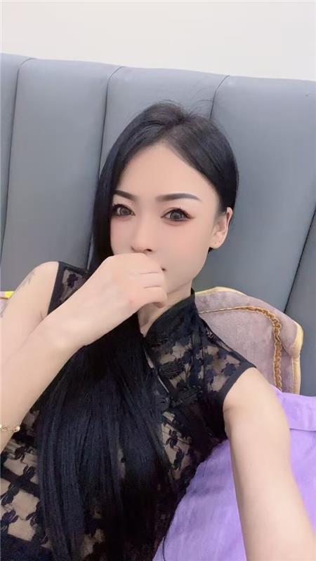 兰州小花猫体验