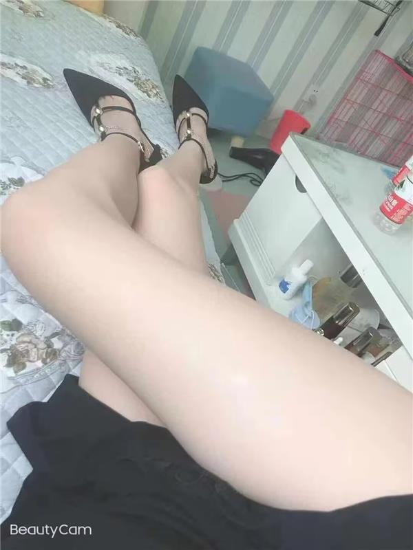 兰州小花猫体验